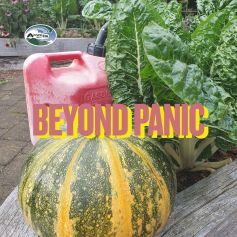 Beyond Panic